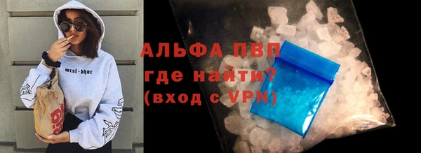 прущие грибы Куйбышев