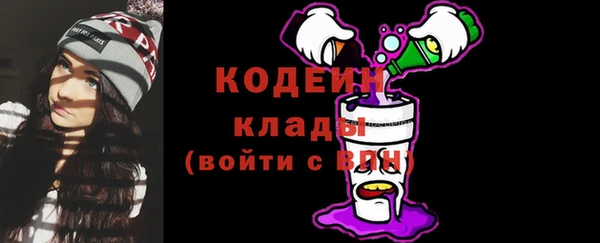 прущие грибы Куйбышев