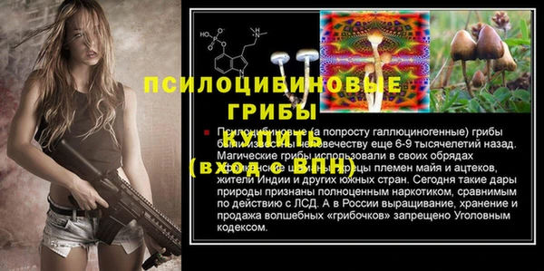 молекула духа Кукмор