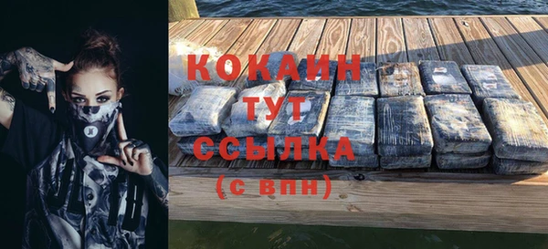 прущие грибы Куйбышев