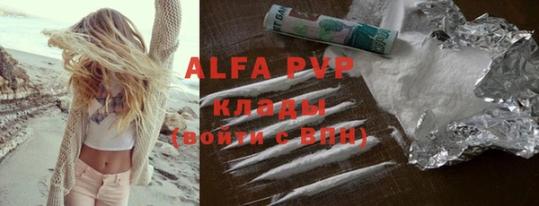 прущие грибы Куйбышев