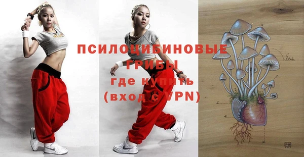 молекула духа Кукмор