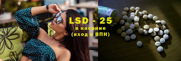 прущие грибы Куйбышев