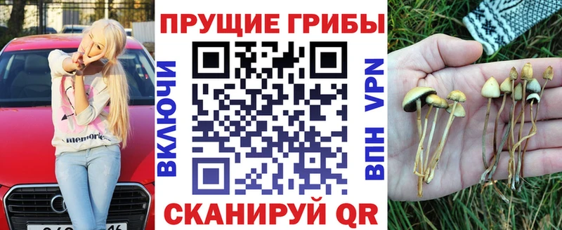 MEGA ONION  Миньяр  Псилоцибиновые грибы мухоморы 